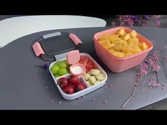 1500ml Salad Lunch Container