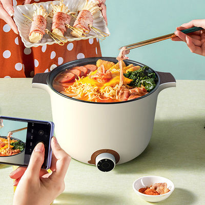 Multi Function Electric Hot Pot Cooker 250W For Convenient Cooking