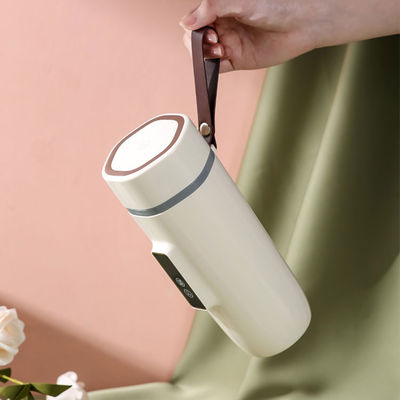 110V/220V Travel Electric Hot Water Cup With Temperature Control 4 Variable Presets