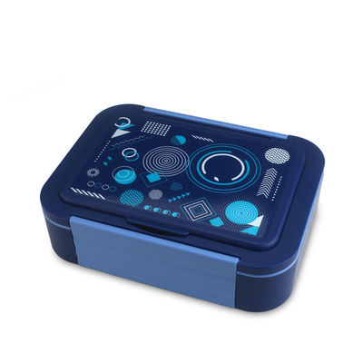 Eco Friendly 4 Compartment Bento Lunch Box with Leak Proof Design Blue